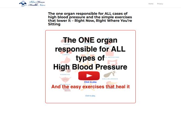 The Blood Pressure Program